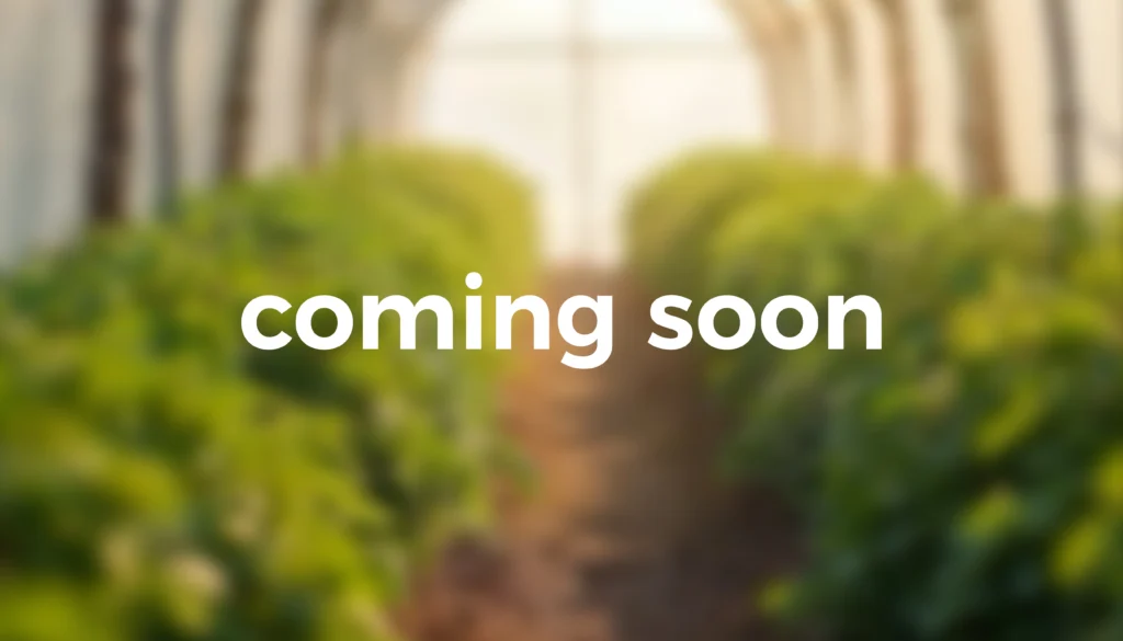 Rayan hills - Lagranja